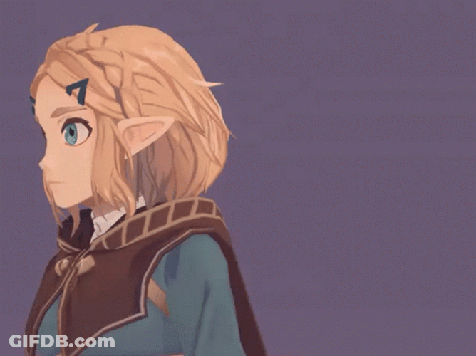 Botw Cute Girl GIF