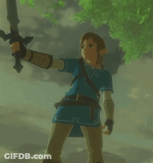 Botw Link Checks Its Sword GIF