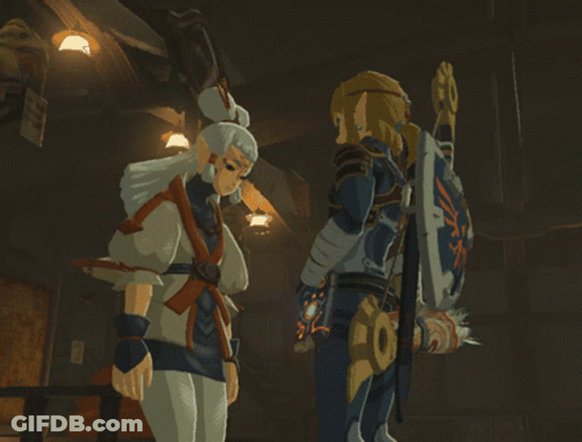 Botw Link Comforting Paya GIF