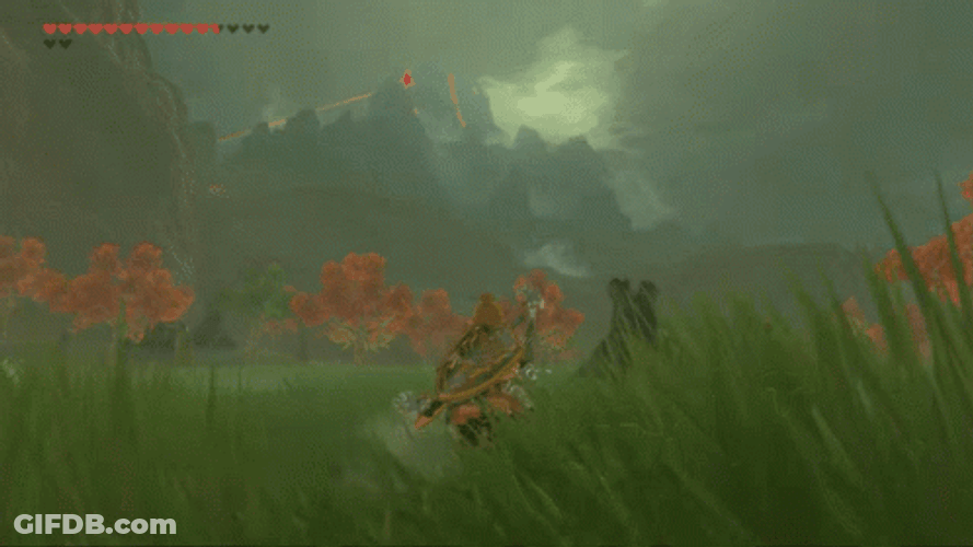 Botw Link Field Running GIF