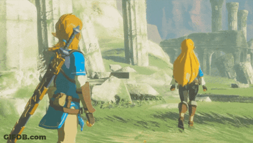 Botw Link Following Princess Zelda GIF