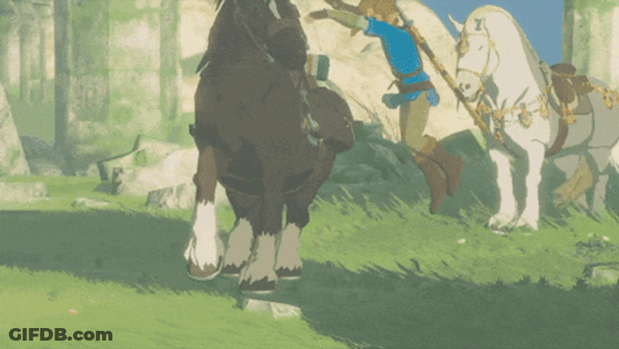 Botw Link Horse Riding GIF