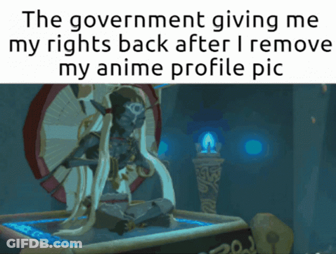 Botw Link Receiving A Power GIF
