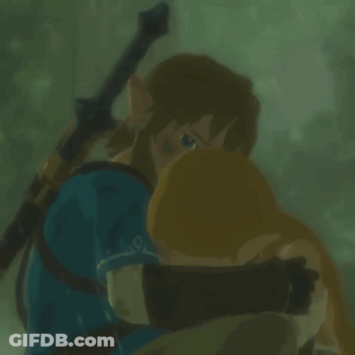 Botw Link Save Zelda GIF