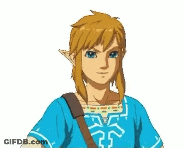 Botw Link Thumbs Up GIF