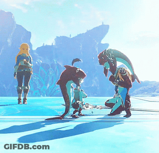 Botw Princess Mipha GIF