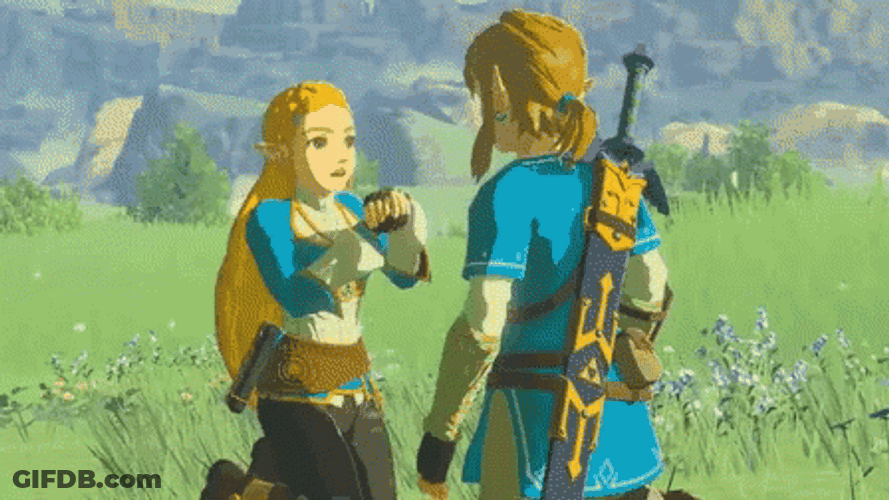 Botw Princess Zelda Surprise To Link GIF