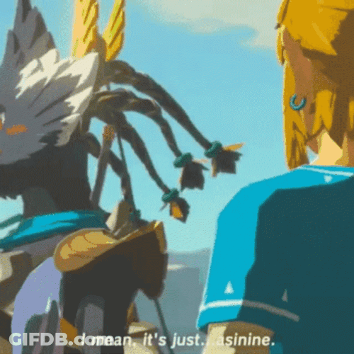 Botw Ravali Talks To Link GIF