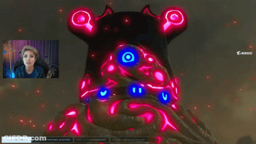 Botw The Legend Of Zelda Video Game GIF