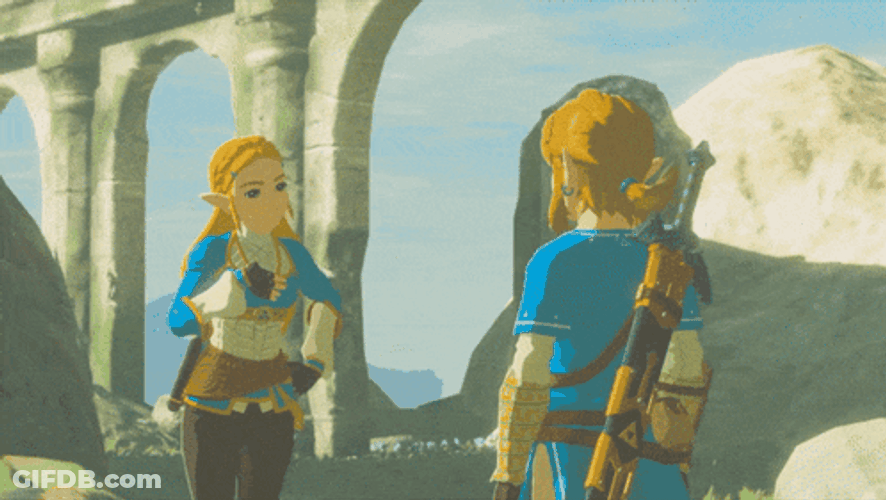Botw Zelda Aviod Link GIF