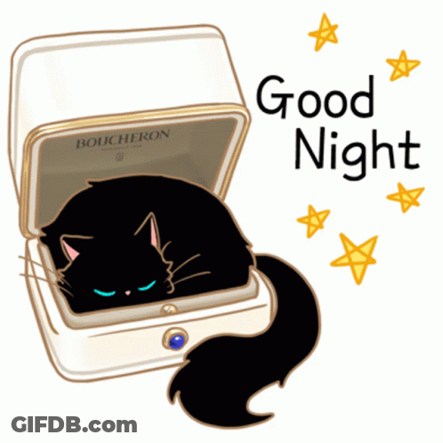 Boucheron Jewelry Box With Black Cat Inside GIF