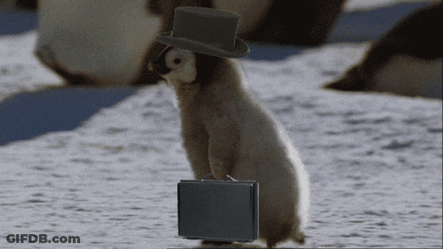 Boujie Business Penguins GIF