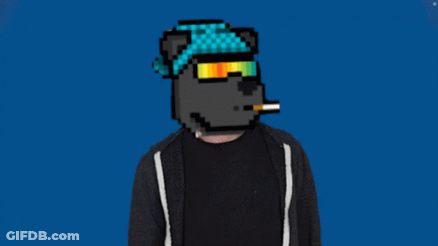 Boulder Bear No No GIF