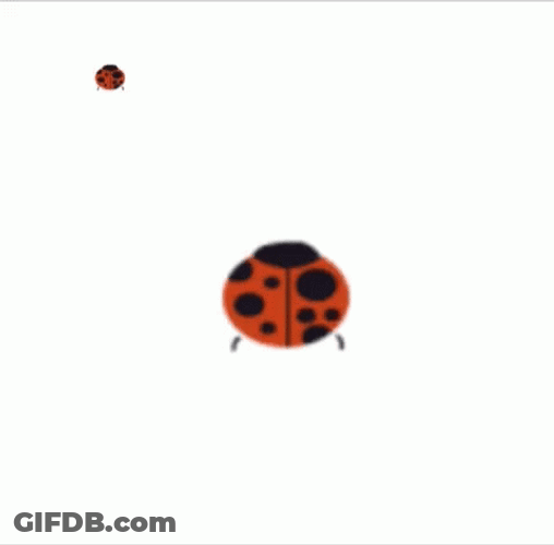 Bouncing Colorful Ladybug Cartoon GIF