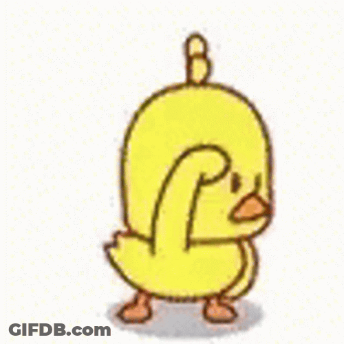 Bouncing Ducking Where GIF