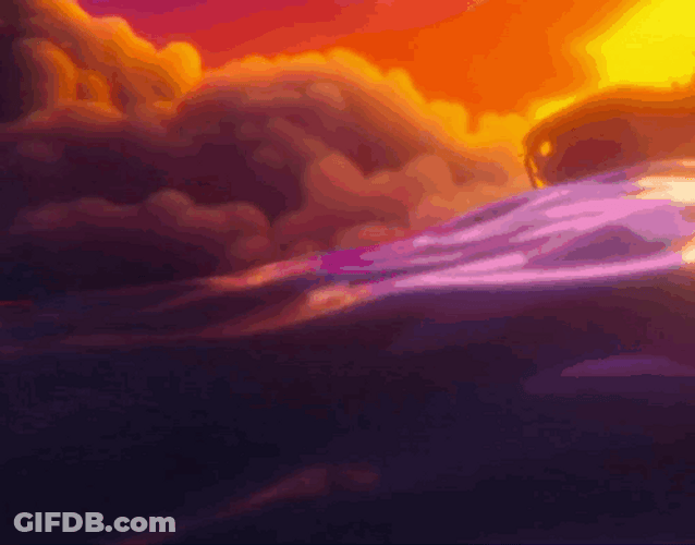Bouncing Seals Goes For An Adventure GIF