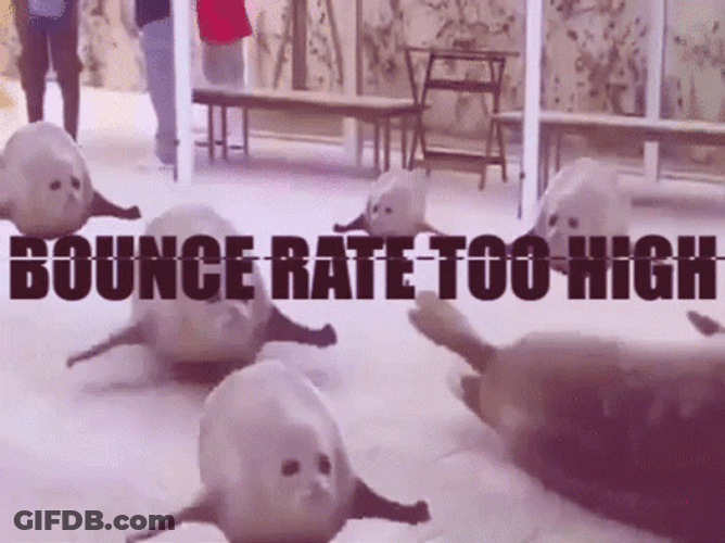 Bouncing Seals Rtae Too High GIF