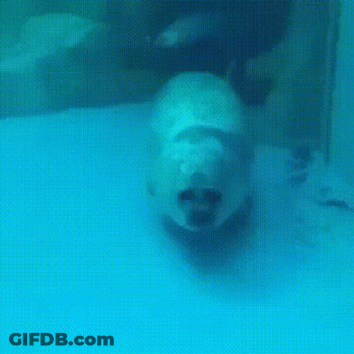Bouncing Seals Under The Water GIF