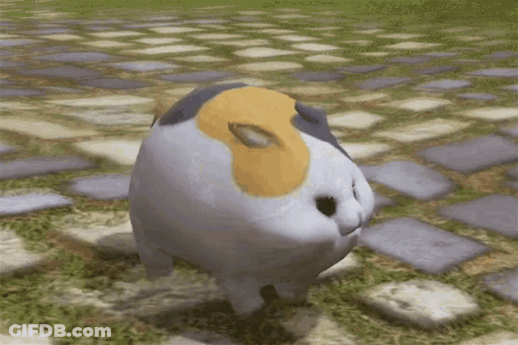 Bouncy Animated 3D Cat GIF