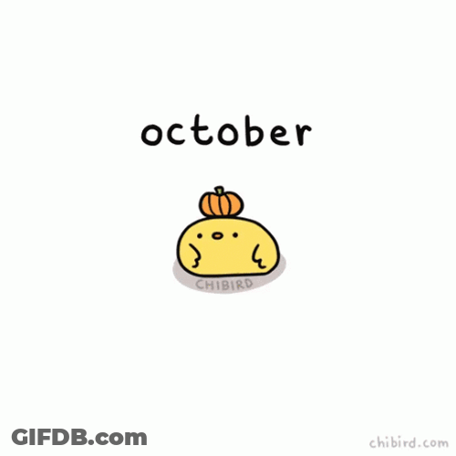 Bouncy Pumpkin On Top Of Bird GIF