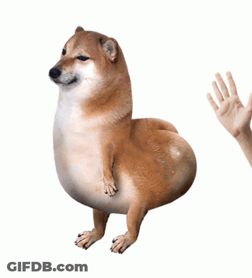 Bouncy Slap Doge Meme GIF