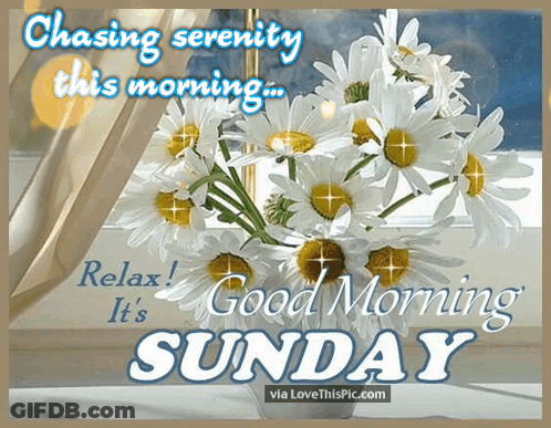 Bouquet Of Daisies Chasing Serenity This Morning Relax Good Morning It's Sunday GIF