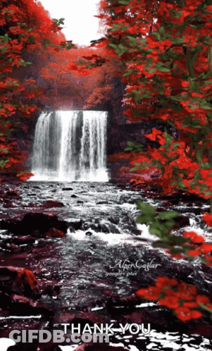 Bouquet Of Flowers Entrega Especial Pra Voce Feliz Domingo GIF