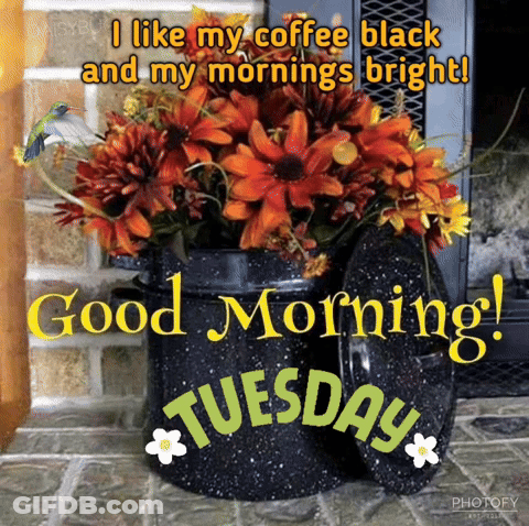 Bouquet Of Flowers In Black Bucket Saying Good Morning Tuesday GIF