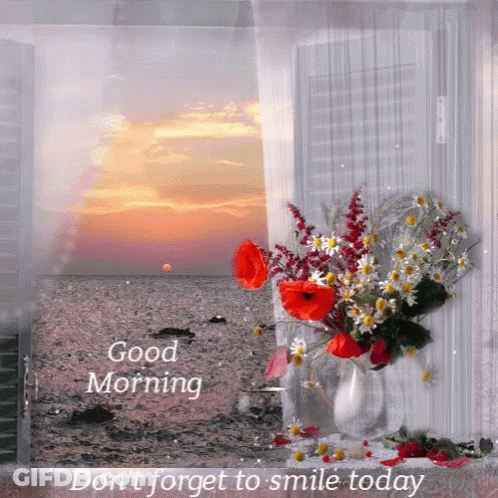 Bouquet Of Flowers In Front Of Window Saying Good Morning GIF