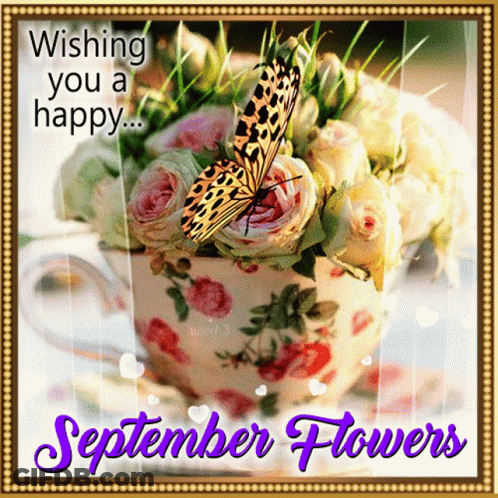 Bouquet Of Flowers In Teacup Wishing You A Happy September GIF