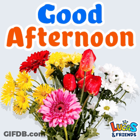 Bouquet Of Flowers Saying Good Afternoon Lucas And Friends GIF