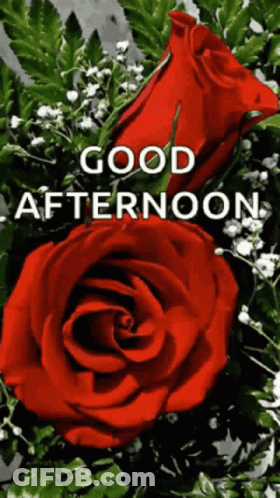 Bouquet Of Flowers With Good Afternoon GIF