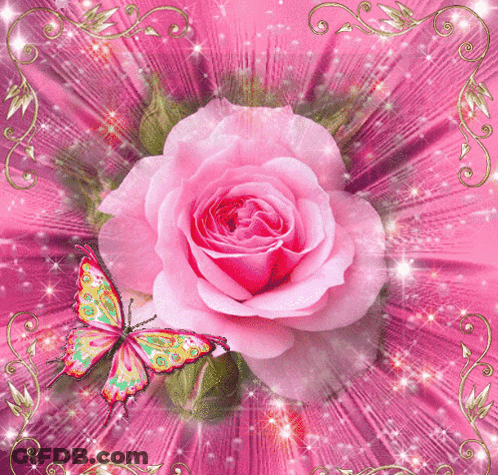 Bouquet Of Pink Roses And Daisies Good Morning GIF