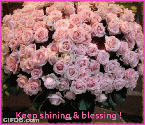 Bouquet Of Pink Roses Keep Shining And Blessing GIF
