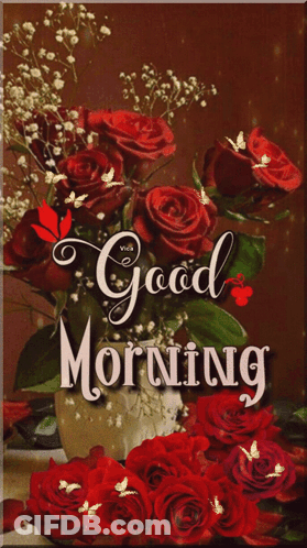 Bouquet Of Red Roses Good Morning GIF