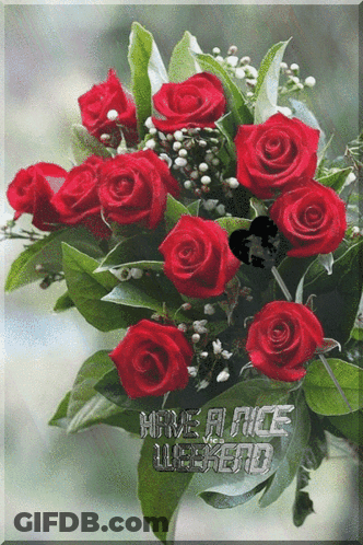 Bouquet Of Red Roses Have A Nice Weekend GIF