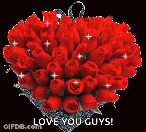 Bouquet Of Red Roses Saying Love You Guys GIF