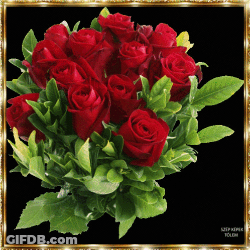 Bouquet Of Red Roses With Gold Frame GIF