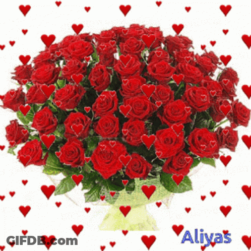 Bouquet Of Red Roses With Red Hearts And Aliyas GIF
