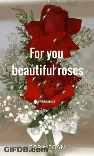 Bouquet Of Roses For You Beautiful Roses GIF