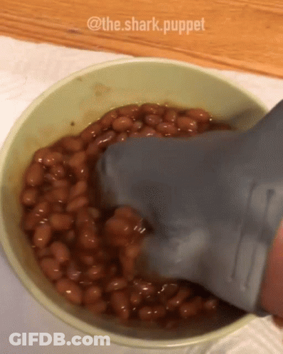 Bowl Of Baked Beans With Shark Puppet GIF