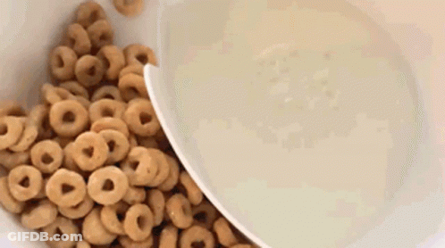 Bowl Of Cereal And Milk GIF