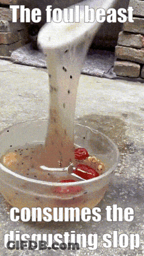Bowl Of Food Saying The Foul Beast Consumes The Disgusting Sloppy GIF