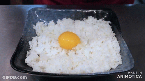 Bowl Of Rice With Egg Made In Animotica GIF
