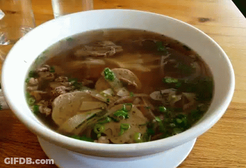 Bowl Of Soup With Meat And Green Onions GIF