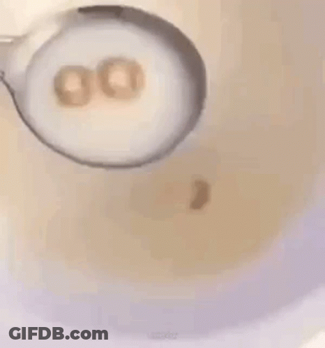 Bowl Of Soup With Spoon And Letters O O GIF