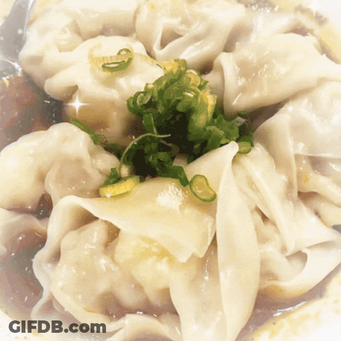 Bowl Of Wonton Soup With Green Onions GIF