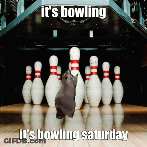 Bowling Alley It's Bowling It's Bowling Saturday GIF