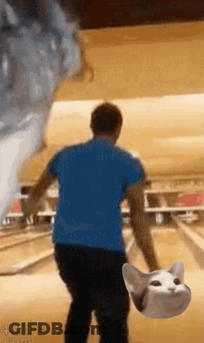 Bowling Alley Man In Blue Shirt With Cat GIF