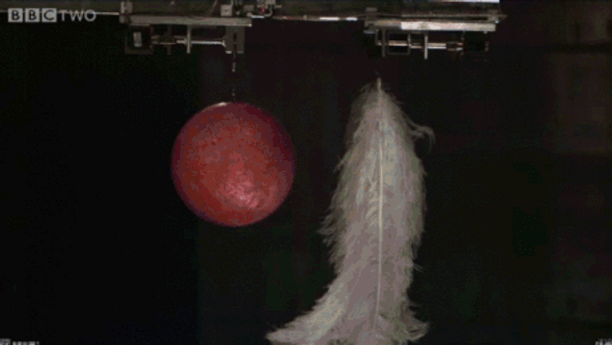 Bowling Ball Feather Fall Experiment GIF
